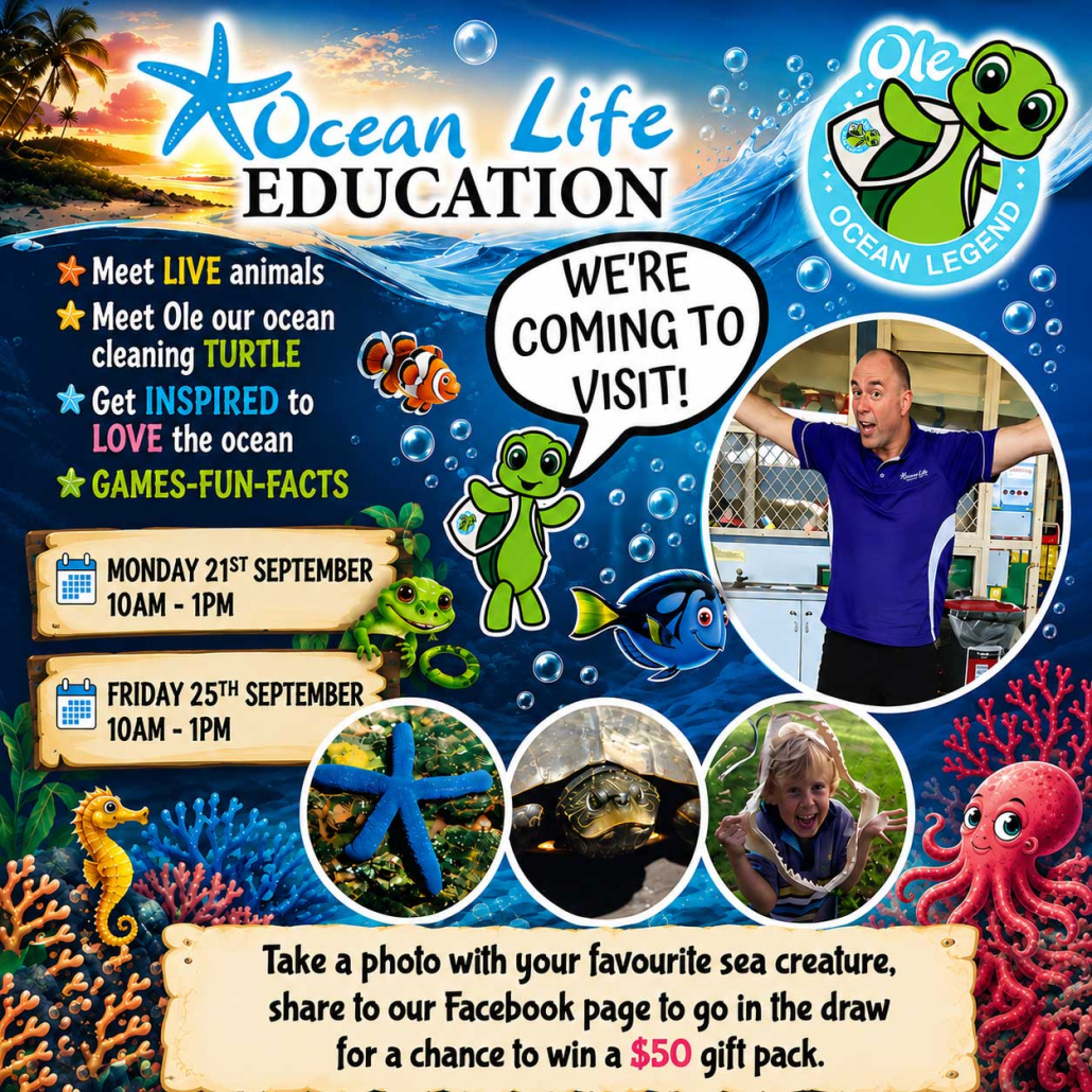 Socials-Noosa-Ocean-web