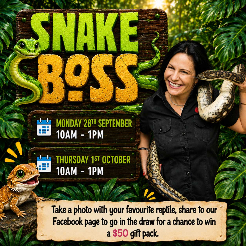 socials-snake-boss-web